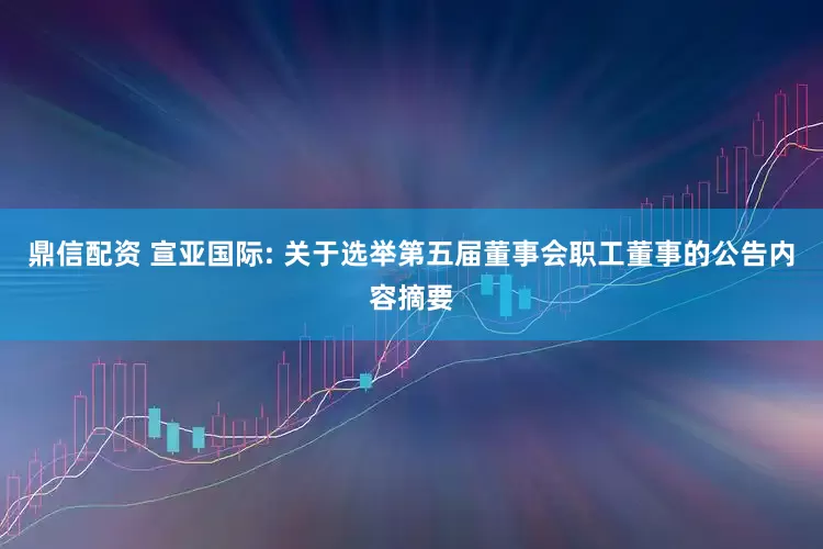 鼎信配资 宣亚国际: 关于选举第五届董事会职工董事的公告内容摘要