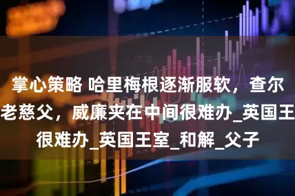 掌心策略 哈里梅根逐渐服软，查尔斯爱面子要做老慈父，威廉夹在中间很难办_英国王室_和解_父子