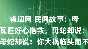 睿迎网 民间故事：母蛇断尾，瓦匠好心搭救，母蛇却说：你大祸临头而不知